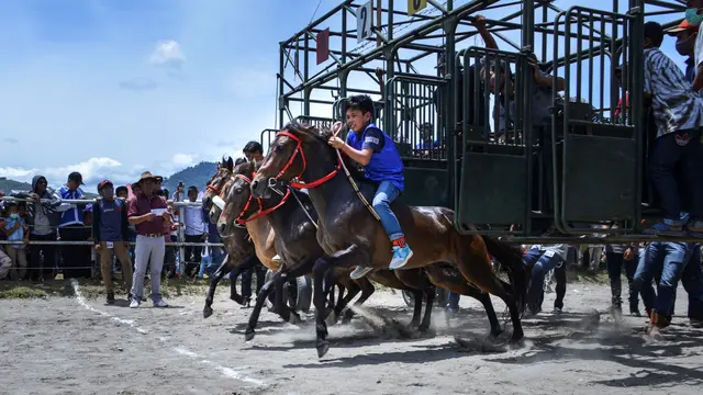 4 Gelanggang Pacuan Kuda Terbaik di Sumbar, Menikmati Keindahan Olahraga Tradisional