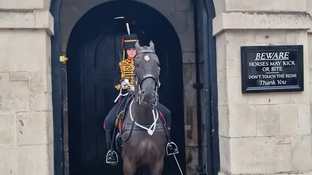 Insiden Kuda Pengawal Raja Charles III Gigit Lengan Turis, Berujung Pingsan