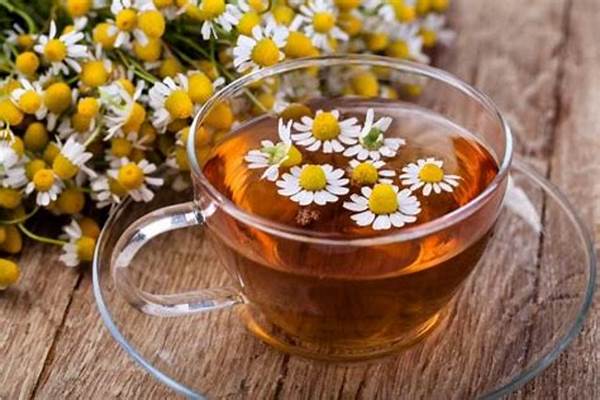 Tren Minuman Herbal: Mengapa Teh Chamomile Mendadak Jadi Favorit Anak Muda 2025?